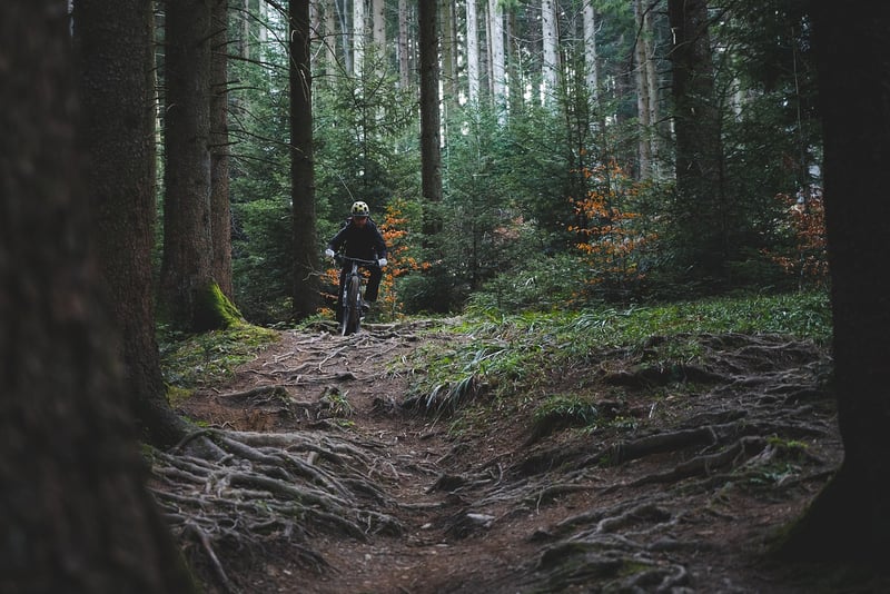 Nature Trails